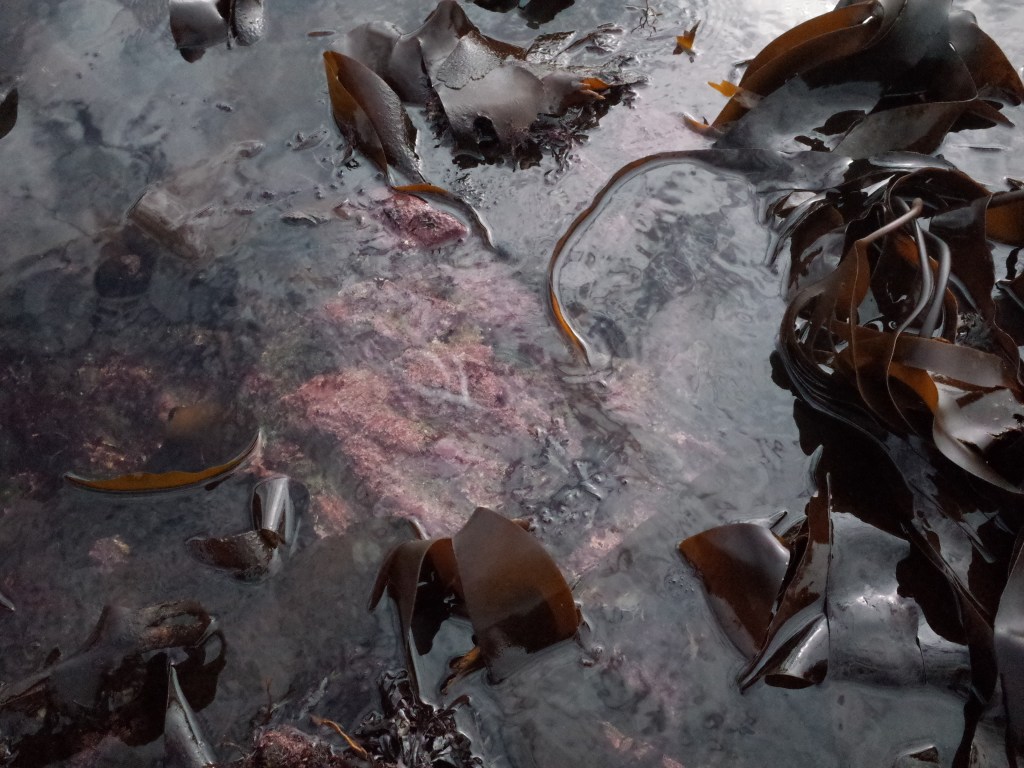 extrait archives Marées