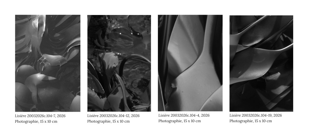Lisière, série de 22&nbsp;photographies